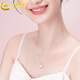 Chinese Gold Lychee Ice Silver Necklace for Women 2025 New Jade Pendant Girls Niche Birthday Gift for Girlfriends and Best Friends Lychee Ice Necklace