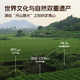 孝文家茶【老客推荐】奇香大红袍 武夷岩茶肉桂水仙 口粮茶乌龙茶叶礼盒 奇香肉桂 149.4g*1盒 （18泡装）