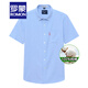 Romon Short à manches à manches Men Jeune Business Business Casual Handsome Work Shirt Summer Slim Cotton Men Top Not-Iron Top 19026 BLAIS AND BLANCS 41