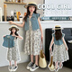 Zuo Feiluo 3524 Mädchen Kleid Sommeranzug 2025 Sommeranzug mittelgroße Kinder modische Weste Denim Zweiteiler Prinzessin Weste 120