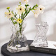 Fan Ye's high-end glass vase transparent water-raised flowers living room dried flowers irregular ins style decorative flower arrangement ornaments