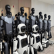 Dolphin Robot Nanny Intelligence artificielle AI Education Research Humanoid Robot College Exhibition Exhibition Exhibition Exhibition Hall Openter Marketing Performance Dancing Wellow Rental Rental Modited Edition Exhibition Hall Service Intelligent Robot Boyfriend