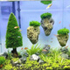 Runhuanian fish tank aquatic plant landscaping stone Moss pumice stone Avatar suspended stone lazy water plant waterscape fish and shrimp avoidance ornaments suspended stone 5-8 cm each glue the water plants