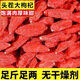 
Jinbaitang Ningxia's first wolfberry special wolfberry free wash tea and wine wolfberry health nourishing 100% genuine new product [Ningxia] 250 grams of special wolfberry special wolfberry
