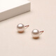 Tahitian 18K gold akoya pearl earrings 6-6.5mm perfect round mirror glare seawater pearl earrings for my wife