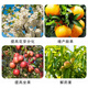 Lomon Fusheng gibberellin 920 plant growth regulator erythrase acid gibberellic acid fruit tree tea germination and flower and fruit preservation solution 1000ml