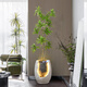 Modernes Wohnzimmer fließendes Wasser und Vermögen Ornamente Bürobrunnen Dekorationen TV