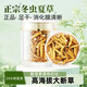 Authentischer tibetaner Cordyceps sinensis hohe Höhe Cordyceps Sinensis großes gebrochenes Gras echtes Cordyceps Sinensis sich selbst gegessenes hochwertiges authentisches Tibet Nagqu hochlöslich Cordyceps Sinensis 10 Gramm Pack 1 Gramm, insgesamt 11 Gramm