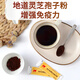 Aodong Breaking Wall Ganoderma Lucidum Spore Powder Regalo Box 2G*60 Bolsas Inmunidad mejorada y brindan productos de salud para ancianos Dragon Boat Festival Gift