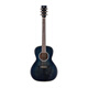 Fanxi Guitar Intelligence bureau