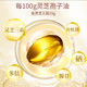 Aodong Ganoderma lucidum Sporeöl Weichkapseln können die Immunität verbessern und die Wand Ganoderma lucidum sporenpulver brechen