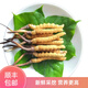 Fresh Cordyceps sinensis 2025 head period fresh grass authentic fresh harvest Cordyceps sinensis fresh grass SF Express cold chain shipment Tibetan fresh cordyceps sinensis 0.8g/root 20 roots