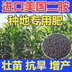 Imported American diammonium phosphate compound fertilizer, agricultural chemical fertilizer, field base fertilizer, flower, fruit and vegetable fertilizer 100Jin Jin equals 0.5kg (frequently chosen by landowners)