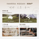 VANESSA HOGAN【高端线】VH女包枫叶吐司包头层植鞣皮实用通勤子母包斜挎单肩包