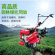 Xushansi four-stroke oil lawn mower chain saw gasoline engine water pump lawn mower lubricant 4t garden machinery four-stroke garden machinery special oil lawn mower chain saw