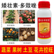 Chrysanthemum agent plant Chrysanthemum chrysanthemum general flowers and trees narcissus flower succulent paclobutrazol chrysanthemum multi-effect 500ml exclusive for large households