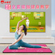 Xiaobawang A20 dance mat, home somatosensory game console connected to TV, children's sports running mat, dedicated all-in-one machine, shooting game, leisure puzzle, sports yoga, gift for girls, host + dual handles + somatosensory gun + PU pink dance mat, hot-selling model
