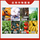 Guoguang Guoguang ripening agent ethephon agent cotton tomato persimmon rice banana cotton growth regulator 100g