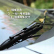 语森忆北汽绅宝X25雨刮器X35 X55X65D20D50专用D70原装有骨CC雨刷片胶条 绅宝D5024+15