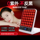 Beauty instrument firming and repairing skin rejuvenation and acne removal spectrometer facial mask household face mask whitening charging portable model [imported light beads] the same as 1048-Exclusive model [1048 beam] large row of lights