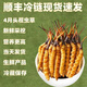 
Luzhangtang 2025 Fresh Cordyceps sinensis Cordyceps SF Express Cold Chain Direct Hair Selected Fresh Grass, each of Tibetan fresh Cordyceps 0.8 grams, 100 packs