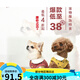 日本radica宠物服装中小型犬猫通用狗衣服春夏秋冬装断码 黄色/11981 L