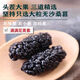 北京同仁堂新疆桑葚干无添加蔗糖无硫正品黑桑椹干大果头茬新货泡水喝的 1503克(净重三斤/无干燥剂)