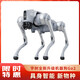 Yushu (Unitree) Voice AI Model Robot Dog Go2 Elektronischer Hund Verkörperte Intelligenz Begleitung Bionischer Begleiter Roboter Vierbeiniger Roboter Hund Go2-pro+ Fernbedienung