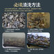 Stream stone ultra-fine bottom sand fish tank turtle tank bottom sand stream sand bottom stone fish tank landscaping stone native stone 3 to 5 cm 30 Jin Jin is equal to 0.5 kg.