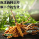 
Genuine 2025 fresh Cordyceps sinensis stubble Cordyceps sinensis 0.8g/root of fresh Cordyceps sinensis SF Express cold chain shipment Tibet fresh grass 1.0-1.2g each 50 pieces are given 3 pieces