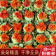 Beijing tongrentang tibetano azafrán y fruta genuina nuevos materiales medicinales chinos azafrán frutas secas té y bebe bolas de semillas de azafrán medicinales 100 gramos de filamentos de azafrán [los filamentos puros son limpios y no misceláneos]