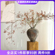 Wen Shi Ou Shan Returns Natural Plant Dried Flower Bouquet Living Room Decoration Wabi-sabi Wind Flower Arrangement Dried Branches Decorative Ornaments Dried Branches Southern Snake Vine Dried Flowers 3 Branches 80-100cm
