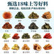 玉米须桑叶茶青钱柳蒲公英牛蒡根桑叶山楂苦荞花茶养生茶包 精选玉米须桑叶茶【30包】