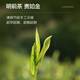 卢正浩茶叶自己喝绿茶2025明前特级龙井茶新茶180g纸包 甄选长辈送礼