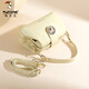 Holzspecker (Tucano) Bag Damen 2025 Neues High-End-Luxus-Luxus-Boston-Kissenbeutel vielseitige Handtasche Single Schulter-Cross-Body-Tasche