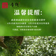音朗茶叶 乌龙茶凤凰单枞 2025新茶浓香潮州单丛茶鸭屎香传统纸包125g