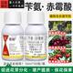 Guoguang Huapan 3.6% benzylaminopurine gibberellic acid A4+A7 cytokinin flower-preserving plant growth regulator 50ml*10 bottles