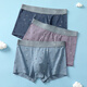 Sous-vêtements Fenten Men pour hommes 7A Antibactériens à 3 paires Pur Coton Imprimé mince Boxer Mid-Waist