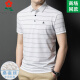 梦特娇（MONTAGUT）梦特娇男装桑.蚕.丝短袖t恤夏季中年商务休闲条纹翻领polo衫 A829-兰色 2XL 180适合145-165斤