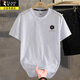 Camiseta de color corta de color pájaro carpintero de pájaro carpintero