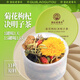 老谷头菊花枸杞决明子茶金银花养生茶蒲公英根桑葚干茯苓牛蒡根礼品礼物