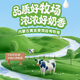 伊利牛奶贝80g袋装 学生 儿童钙零食 营养健康 奶香浓郁 伊利牛初乳牛奶贝(白桃口味)80g*3