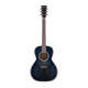 Fanxi Guitar Intelligence bureau