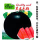 Qizhe black-skinned seedless watermelon seeds, super sweet, high-yielding, thin-skinned, red-heart, extra-large watermelon seeds, vegetable and fruit seed larvae for all seasons, selected grains, 1 pack of about 40 seeds, new black-skinned seeds