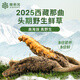 阿依舍西藏那曲2025年头茬野生新鲜冬虫夏草 冷鲜空运 送长辈营养品礼盒 野生头茬鲜草1.0g/根 30根