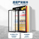 北极熊（BEIJIXIONG）展示柜冷藏柜冰柜商用饮料柜直冷风冷风直冷保鲜柜超市玻璃门冰箱立式啤酒柜 双门下机直冷黑红款688L（联系客服定制灯箱）