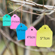 BENXINNONG (BENXINNONG) 100 sheets of rope plastic labels plant tags gardening potted small hanging tags succulent labels marking signs HXM 6x4cm green 100 sheets in a bundle
