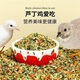 Rutin chicken special feed Rutin chicken egg production feed mealworm brooding feed quail feed high protein 2Jin Jin equals 0.5 kg brooding food containing mealworms dried vegetables