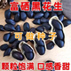 Black peanut seeds in shell, rich in selenium, black peanuts, black peanuts, farmers choose to sow in the field, black purple peanut seeds, black pearl peanut seeds, half Jin Jin is equal to 0.5 kilograms