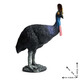 Simulación Oenux Modelo de animales Toys Bird Birds Owl Eagle Parrot Pavo Pavo avalde